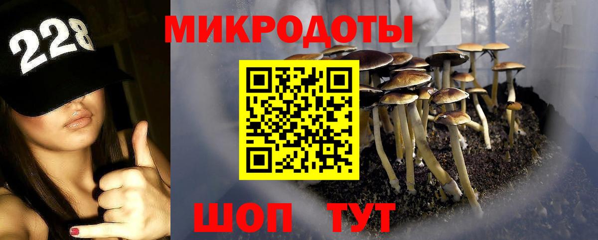 Галлюциногенные грибы Magic Shrooms  Вход с VPN  Алексеевка 
