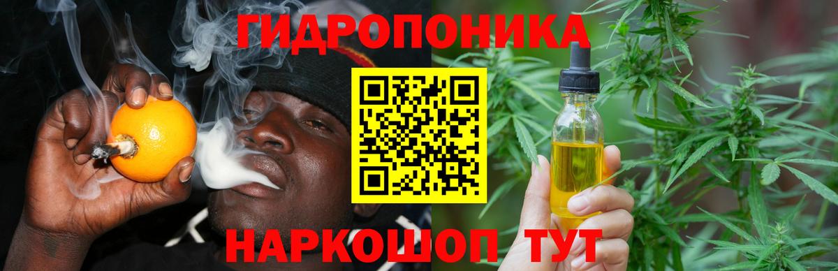 Шишки марихуана OG Kush Алексеевка